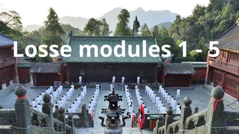 Module 1-5 “Training Nature Taiji” (online)